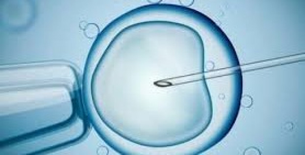 АҚШ-та өмірді сақтандыру ЭКО қолжетімділігінің кеңеюі аясында жаңа мағынаға ие болуда