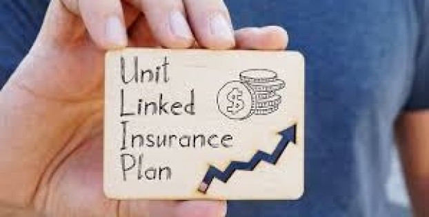 Почему долгосрочные инвесторы все чаще выбирают ULIP
