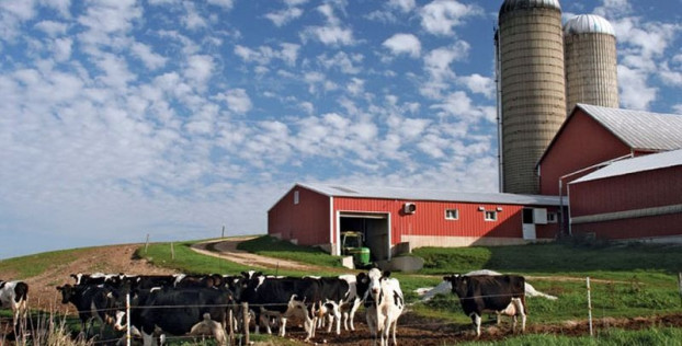 Финансовый советник предложил фермерам альтернативу банковским кредитам