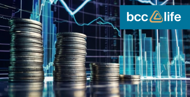 Финансовая отчетность АО «BCC Life» на 01.04.2025 года