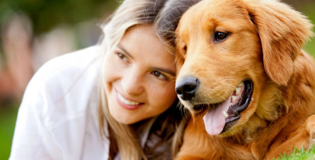 Why pet owners may need an insurance policy