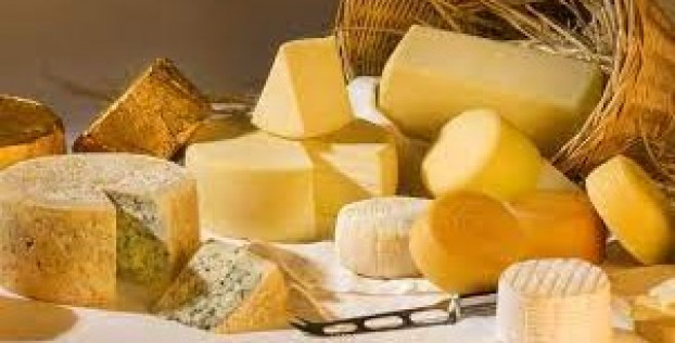 Почему сыр нельзя есть каждый день