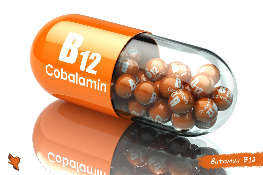 Два симптома помогут узнать о дефиците витамина B12