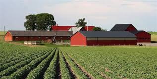 Финансовый советник предложил фермерам альтернативу банковским кредитам