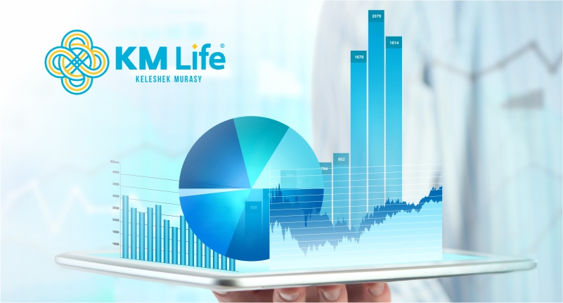 2024 жылға арналған «KM Life» ӨСК» АҚ-ның аудиттелген қаржылық есептілігі