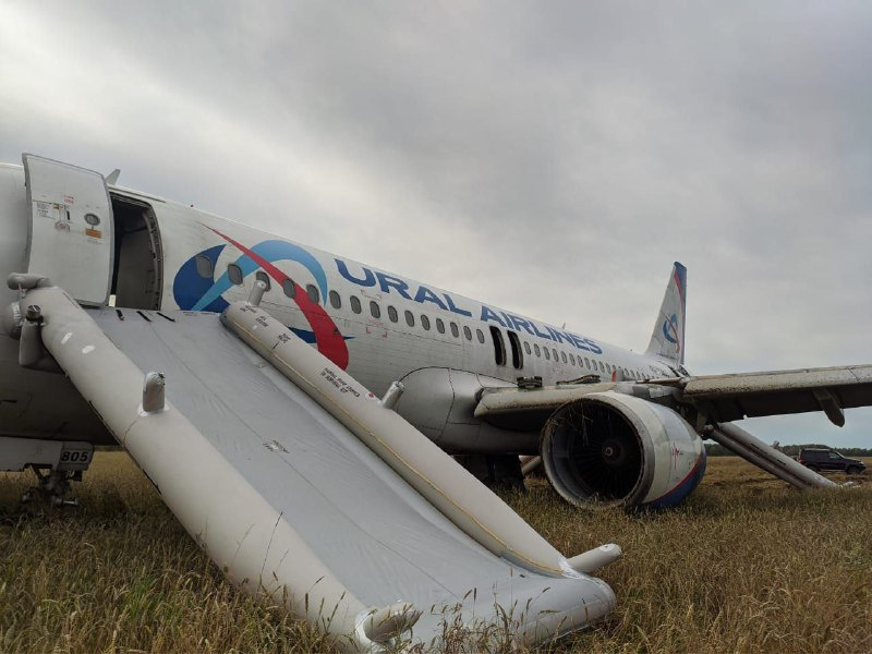 AlfaStrakhovanie will pay compensation to passengers of the plane that has landed in a field