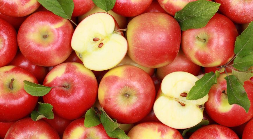 What are the benefits of apples and how many calories are in them?