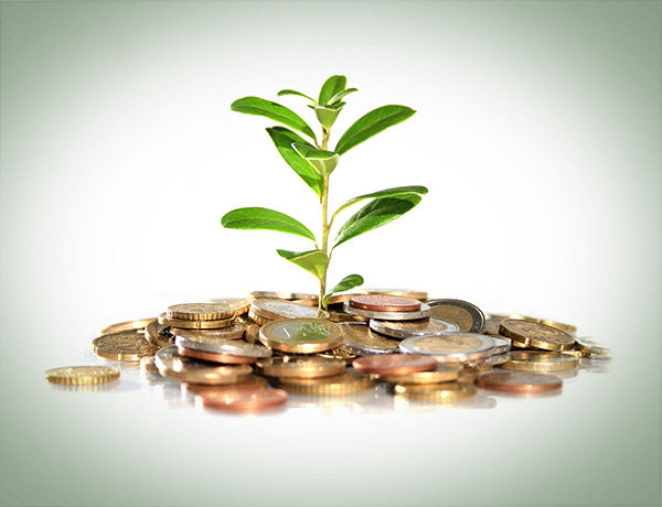 Плюсы и минусы инвестиционного страхования жизни